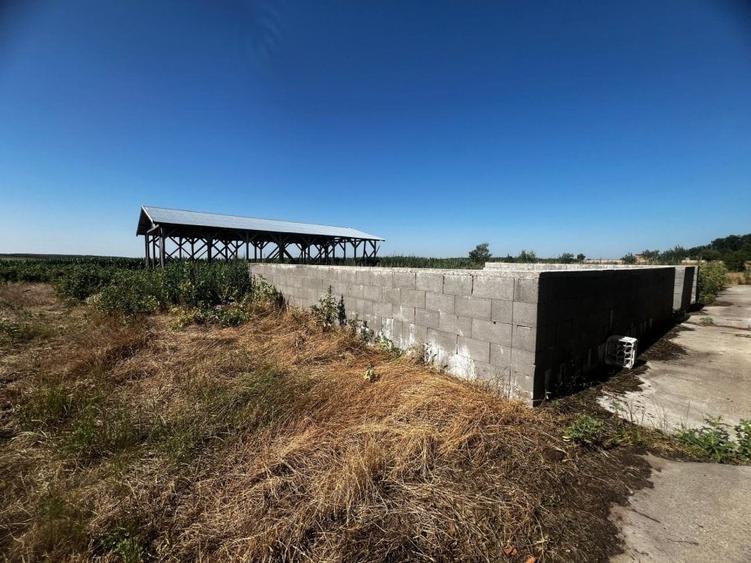 Spatiu pentru dispensar medical-veterinar si locuinta de serviciu cu teren mare - 7