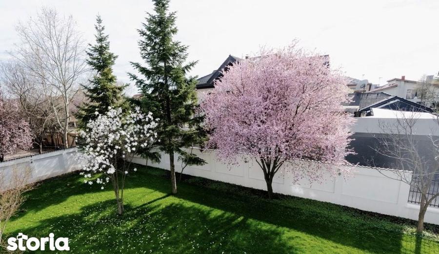 Vila 6 camere de inchiriat | Pipera-Aviatiei - 14