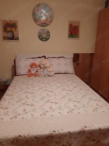 Casa cu gradina de vanzare - 9