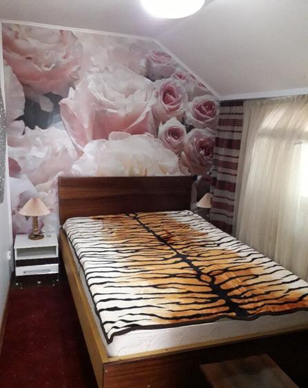 Casa Sunatori, Vatra Dornei, Suceava - 2