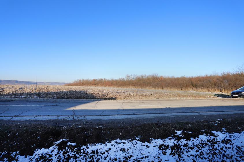 Teren de vânzare în Alparea 6942mp parcelabil - 4