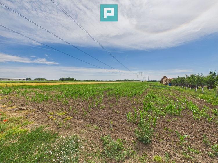 Teren agricol extravilan de 10000 mp, în Gai