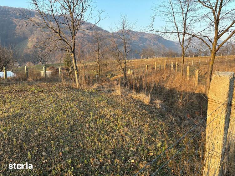 Teren de 3111 mp, în Feldru