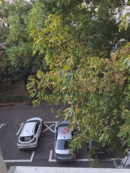 Garsonieră decomandată în Roșu