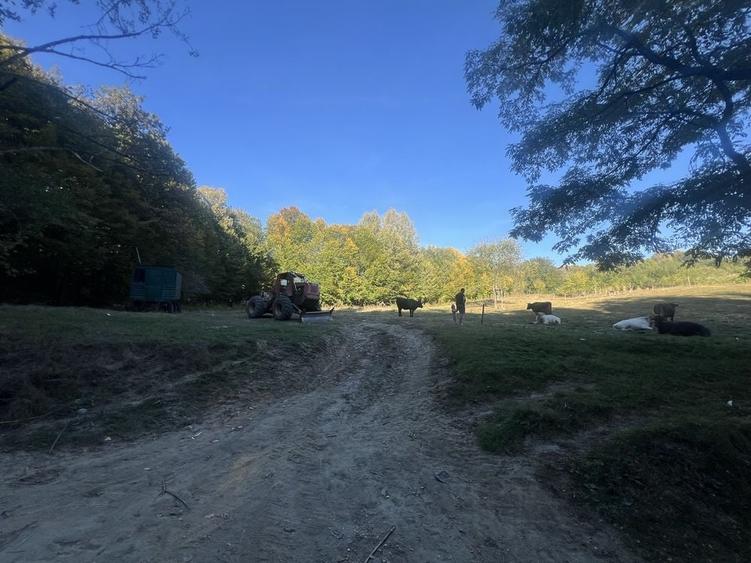 Teren de 5500 mp, în Tutana