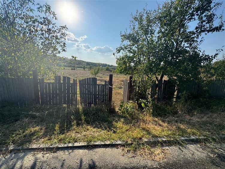 Teren intravilan de 4777 mp, în Todirel