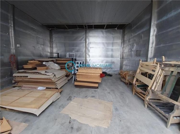 Royal Imobiliare - Vanzare Spatiu Industrial zona Exterior Est - 13