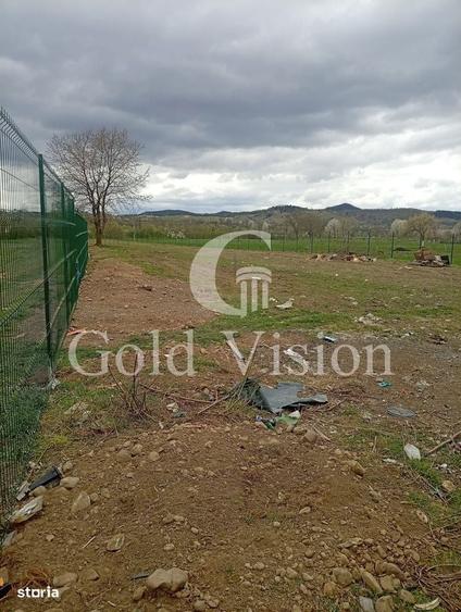 Casa cu 5 camere + anexa, curte + gradina proprie, in Bocicoiu Mare - 1