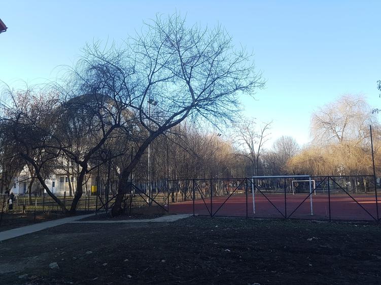 Garsoniera confort trei, etaj unu, renovata, in bloc de garsoniere, libera - 9