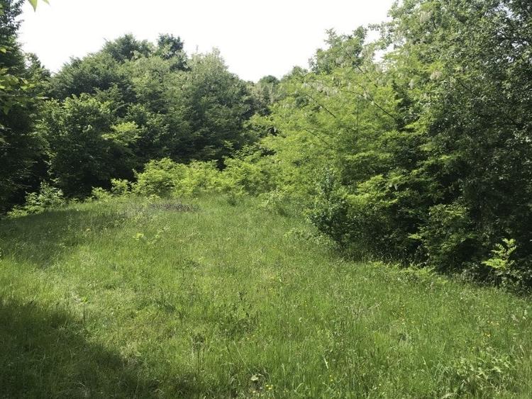 Vand teren in Albestii de Muscel faneata-pasune, partial impadurit - 6