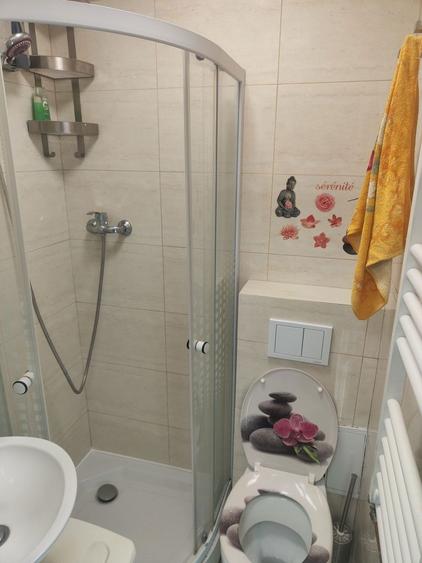 Garsoniera in Tractorul - 7