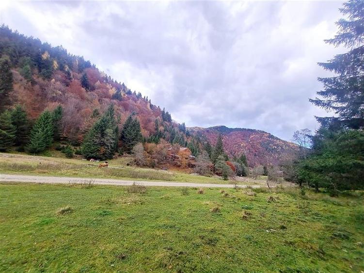 Parcela urbanizabila spectaculoasa,4.600 mp, priveliste emblematica:Piatra Craiu - 18