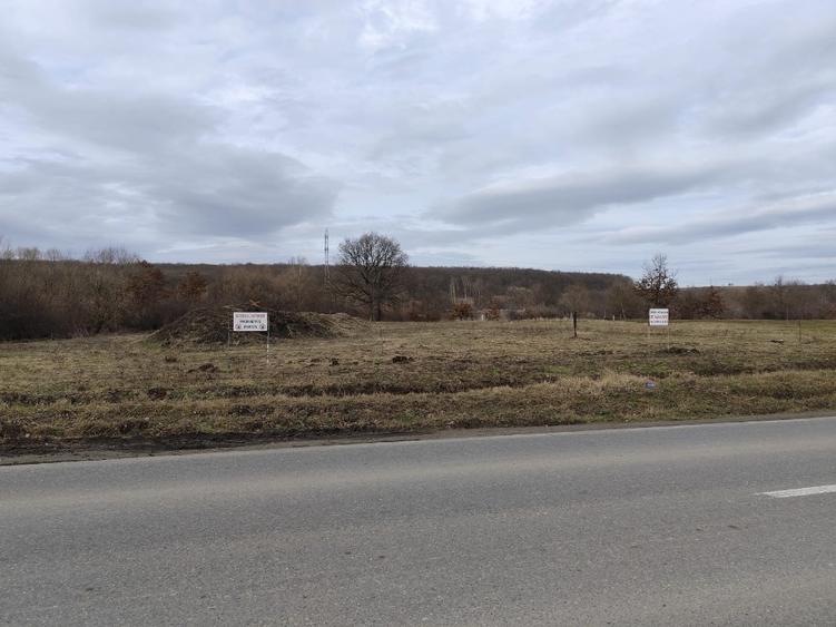 Teren intravilan  - 5