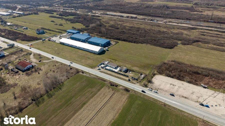 Teren extravilan de 7.000 mp langa Paltini? - 9