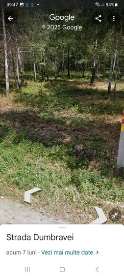 Teren intravilan Baia de Fier - 4