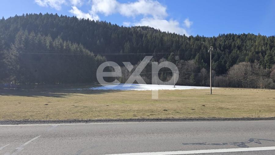 Teren extravilan 19.200 mp – DN1A Săcele, Brădet | Front stradal 130 ml - 5