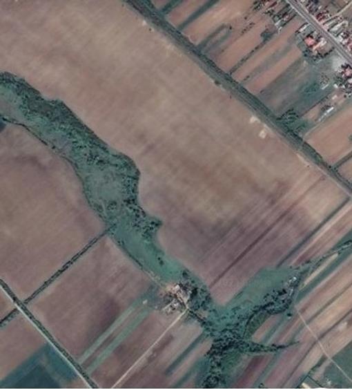 Comision 0%! Padure - suprafata de 5 000 mp situata in comuna Bradesti - 1