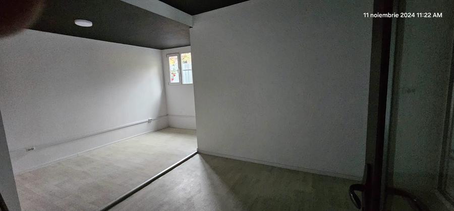 Vanzare/Inchiriere - Hala productie si depozitare,  Bd. George Cosbuc - 6