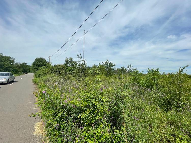 SNAGOV PLAZA - TEREN IDEAL DEZVOLTARE IMOBILIARA! - 3