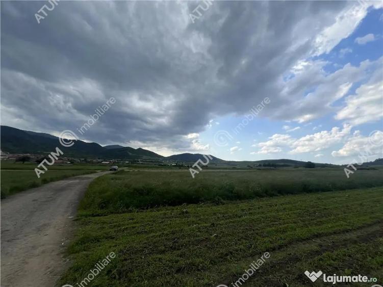 Teren intravilan de 3477 mp cu deschidere de 35 m in Boita - 4