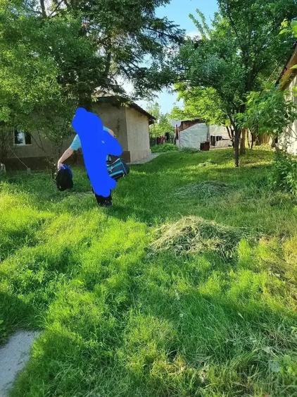 Casa 38 km de Bucure?ti - 6