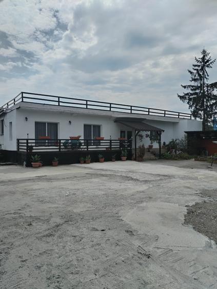 Spatiu comercial 420 mp, langa Termocentrala Mintia - 2