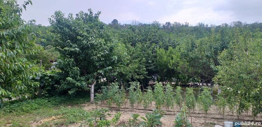 CASA cu TEREN la tara de vanzare - 8