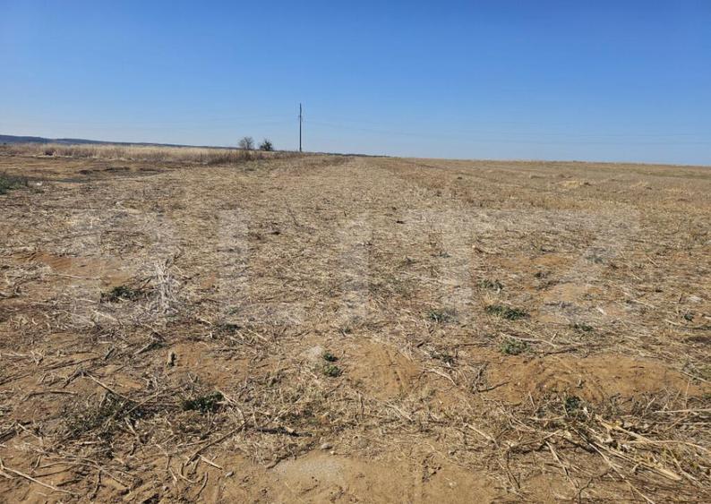 Teren intravilan, 3789 mp parcelabil, zona Isalnita - 3