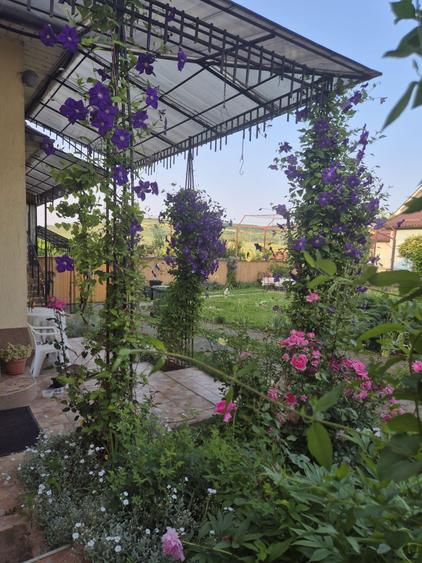 Casa renovata in Band, ultracentral, 3310mp teren - 8