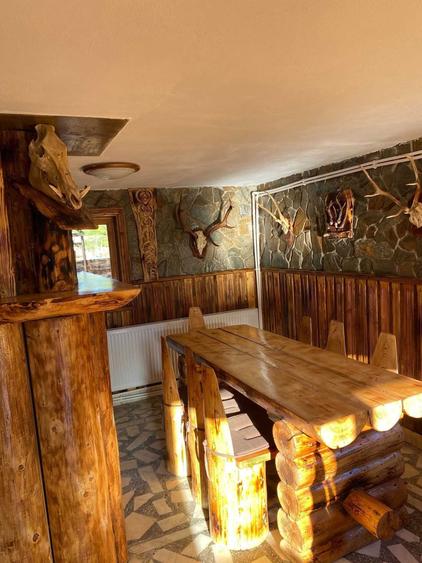 Cabana de inchiriat - 2