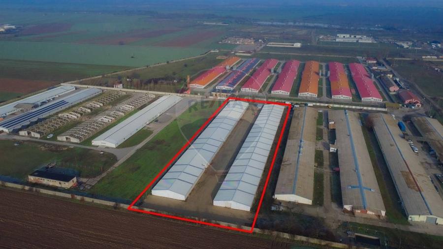 De vânzare – 2 hale industriale, 5.050 mp utili, Palota - 2