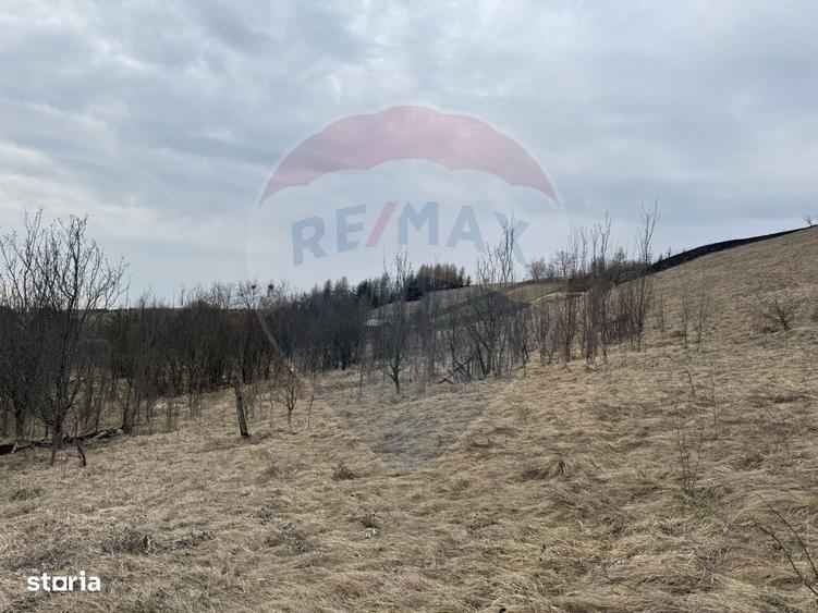 Teren intravilan 2307 mp in Salicea, zona premium, aproape de Cluj - 3