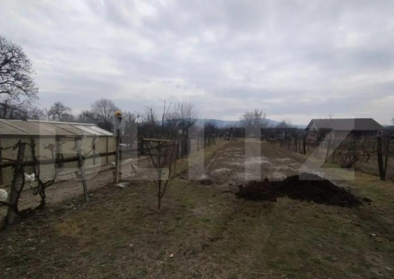 Casa 4 camere,200mp,teren 3000 mp,zona Livezile - 2