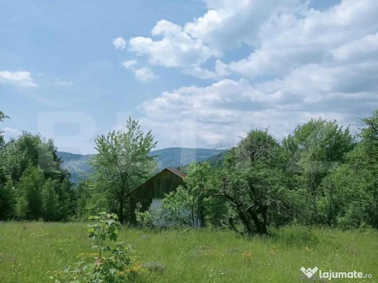 Teren intravilan de vanzare, 30.121 mp, Trance?ti, Scari - 4