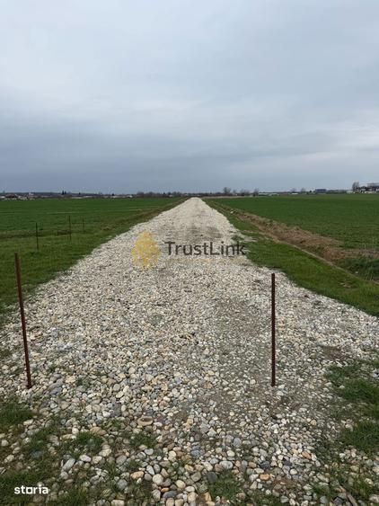 Teren intravilan de vanzare Berceni Vidra | 500650 mp | curent la lot - 1