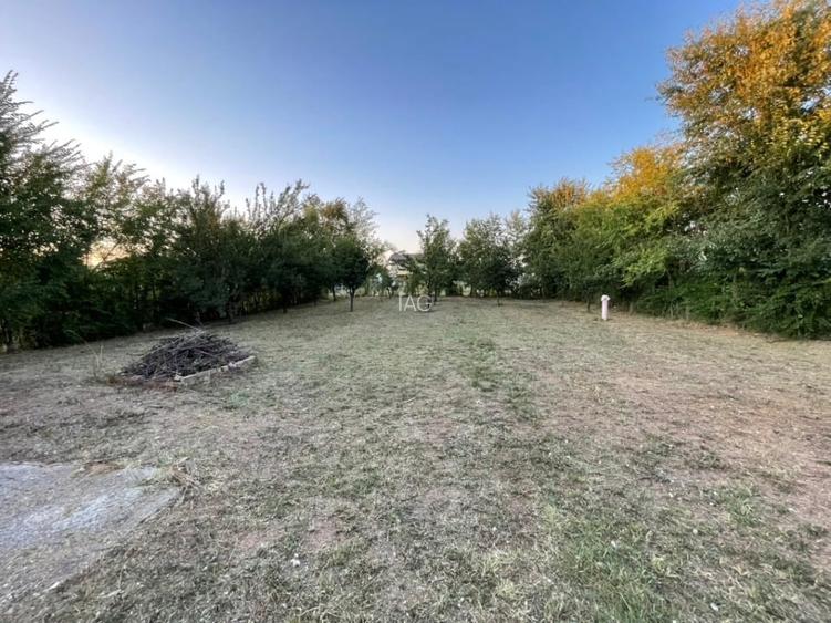 Domnești – teren 750 mp, cu puț, pomi, gard viu, gard bordurat, porti, curat!