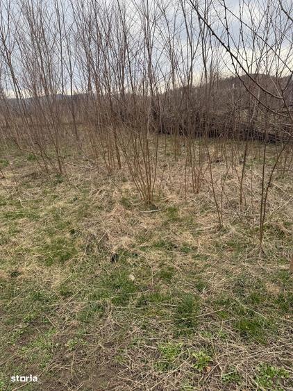 Brebu - teren intravilan 5200mp parcelabil - 25 Euro/mp - 5