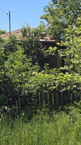 Calarasi, com, Radovanu - 1