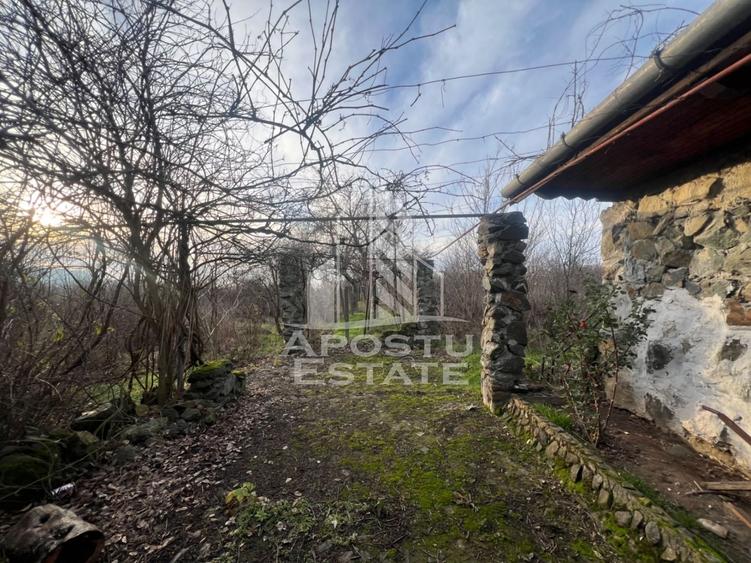 De vanzare casa de vacanta in Charlotemburg jud Timis - 2