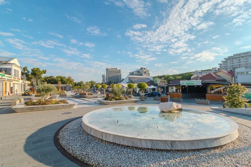 Spațiu versatil pentru business în Băile Felix - 9