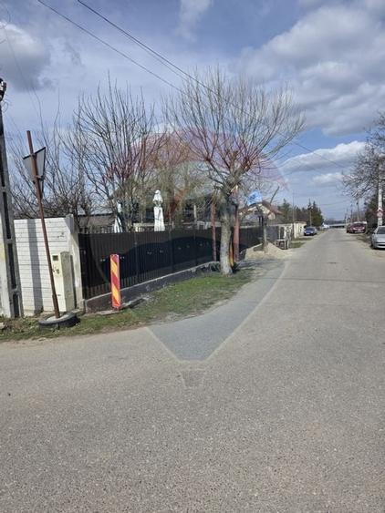 Teren  Balotesti Dumbraveni  16.700 mp /8350 mp /loturi 500 mp - 5