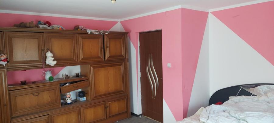 Spre vanzare proprietate Manastirea Humorului - Suceava - Bucovina - 6