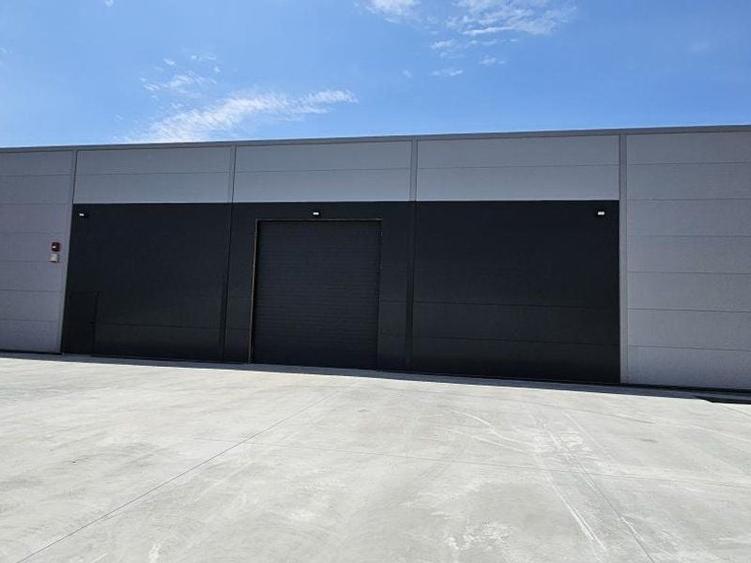 Pantelimon DN3 hala 600 mp - 4