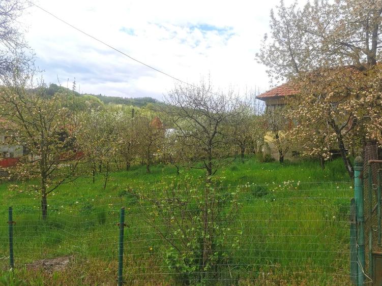 Casa/Teren de vanzare - 4