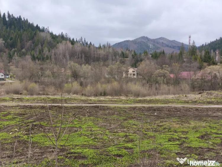 Teren de 22600 mp, în Sucevița