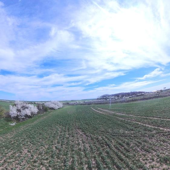 Teren intravilan |  Popesti-Leordeni | Acces direct din Sos de Centura - 3