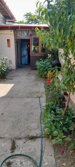 casa de vanzare in zona foarte linistita - 4