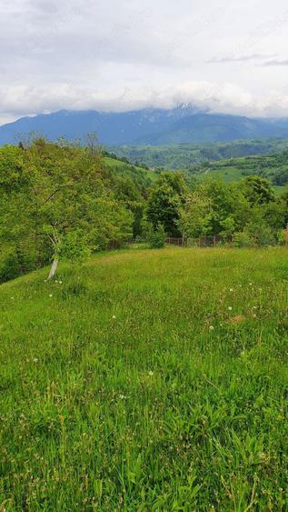 teren extravilan sat pestera jud brasov - 3