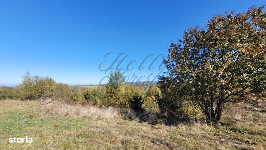 Teren intavilan, 4800 mp, front la strada, utilitati, Rasca - 8