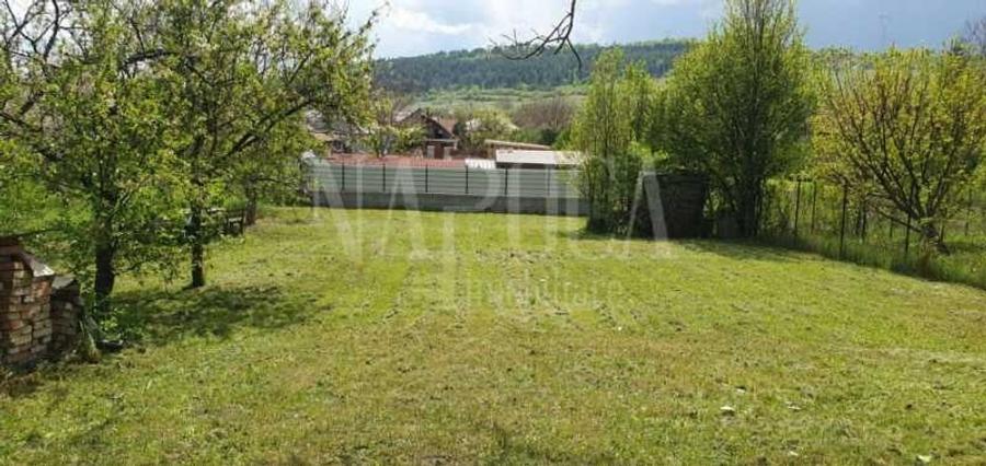 Teren intravilan pentru constructii de vanzare in Baciu - 3